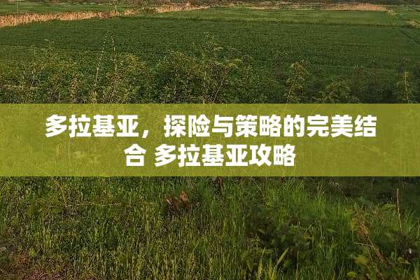 多拉基亚，探险与策略的完美结合 多拉基亚攻略