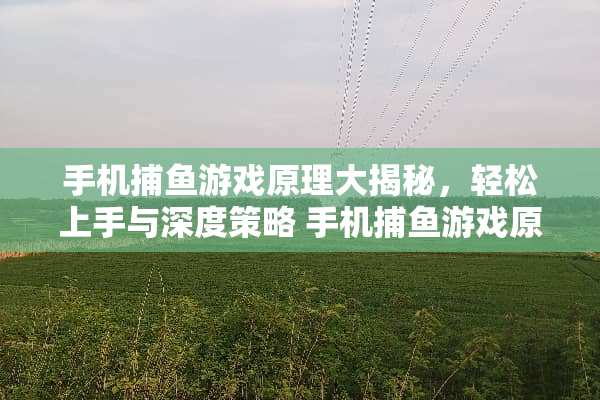 手机捕鱼游戏原理大揭秘,轻松上手与深度策略 手机捕鱼游戏原理攻略 手机捕鱼游戏原理大揭秘,轻松上手与深度策略 手机捕鱼游戏原理攻略