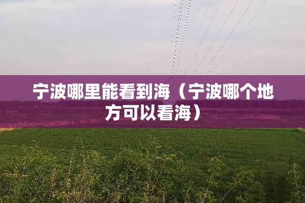 宁波哪里能看到海(宁波哪个地方可以看海) 宁波哪里能看到海(宁波哪个地方可以看海)