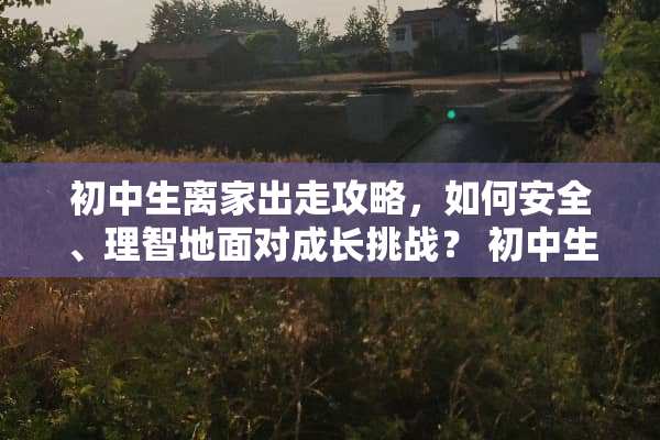 初中生离家出走攻略,如何安全、理智地面对成长挑战? 初中生离家出走攻略 初中生离家出走攻略,如何安全、理智地面对成长挑战? 初中生离家出走攻略
