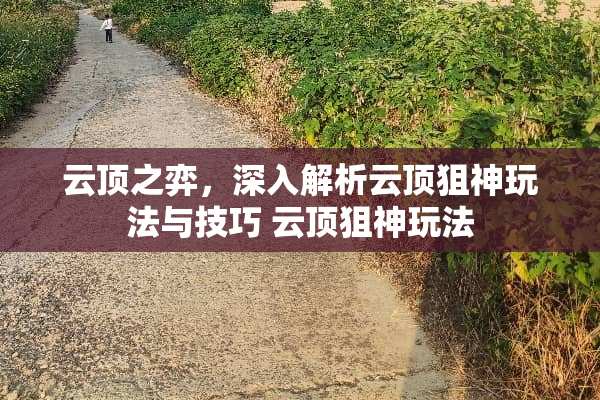 云顶之弈，深入解析云顶狙神玩法与技巧 云顶狙神玩法