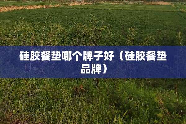 硅胶餐垫哪个牌子好（硅胶餐垫品牌）