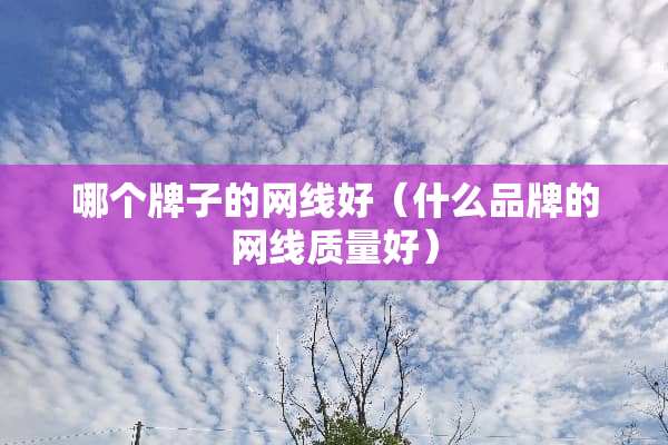哪个牌子的网线好（什么品牌的网线质量好）