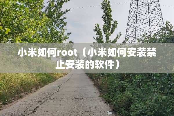 小米如何root（小米如何安装禁止安装的软件）