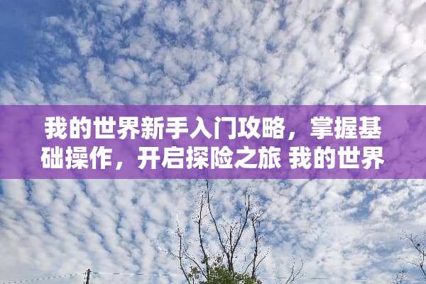 我的世界新手入门攻略,掌握基础操作,开启探险之旅 我的世界攻略新手入门 我的世界新手入门攻略,掌握基础操作,开启探险之旅 我的世界攻略新手入门