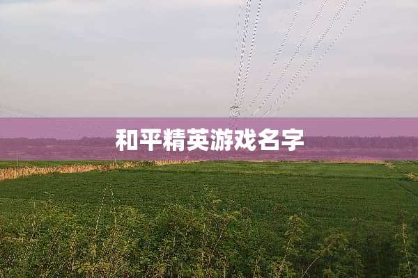 和平精英游戏名字
