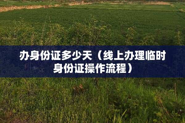 办身份证多少天（线上办理临时身份证操作流程）
