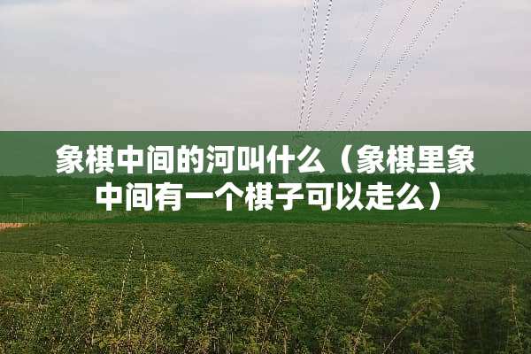 象棋中间的河叫什么（象棋里象中间有一个棋子可以走么）