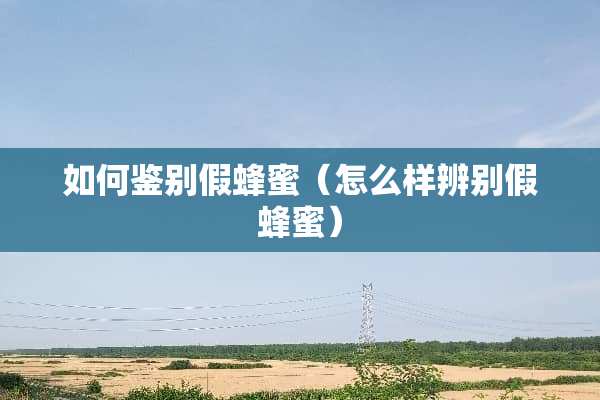 如何鉴别假蜂蜜（怎么样辨别假蜂蜜）