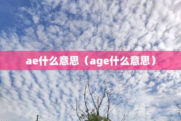 ae什么意思（age什么意思）