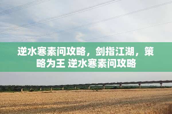 逆水寒素问攻略，剑指江湖，策略为王 逆水寒素问攻略