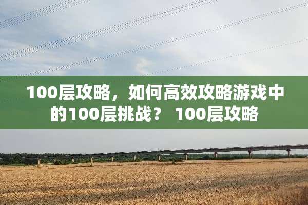 100层攻略，如何高效攻略游戏中的100层挑战？ 100层攻略