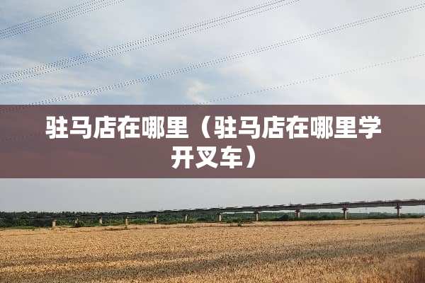 驻马店在哪里(驻马店在哪里学开叉车) 驻马店在哪里(驻马店在哪里学开叉车)
