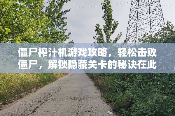 僵尸榨汁机游戏攻略，轻松击败僵尸，解锁隐藏关卡的秘诀在此！ 僵尸榨汁机攻略