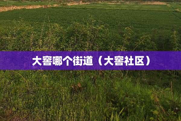 大窖哪个街道(大窖社区) 大窖哪个街道(大窖社区)