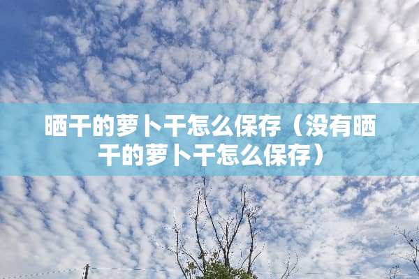 晒干的萝卜干怎么保存（没有晒干的萝卜干怎么保存）