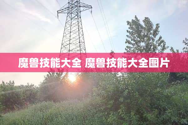 魔兽技能大全 魔兽技能大全图片