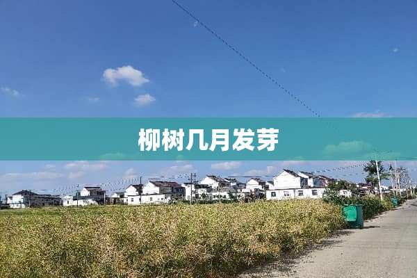 柳树几月发芽