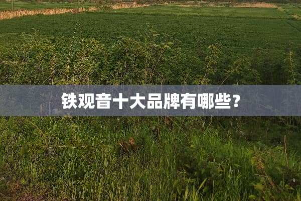 铁观音十大品牌有哪些？