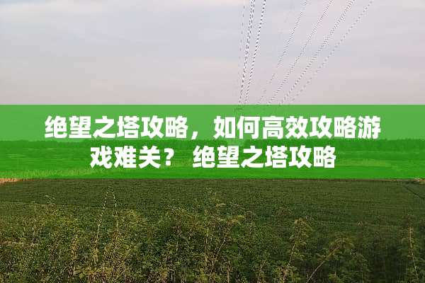 绝望之塔攻略，如何高效攻略游戏难关？ 绝望之塔攻略