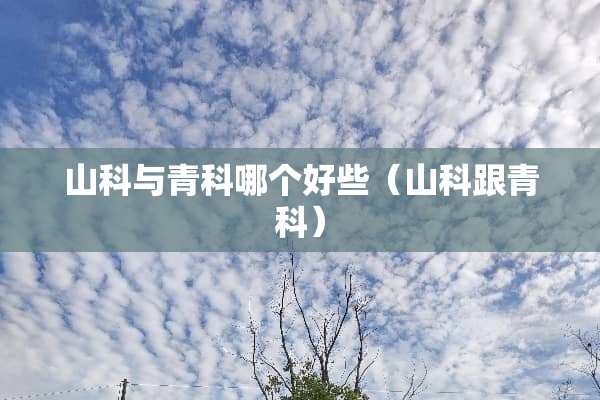 山科与青科哪个好些（山科跟青科）