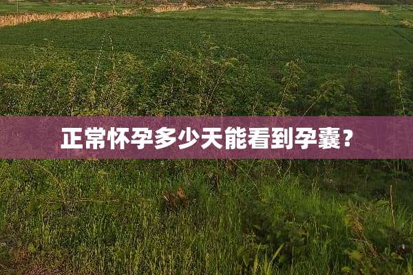 正常怀孕多少天能看到孕囊？