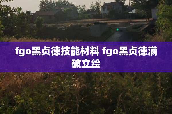 fgo黑贞德技能材料 fgo黑贞德满破立绘