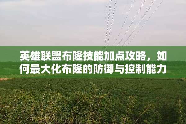 英雄联盟布隆技能加点攻略，如何最大化布隆的防御与控制能力 布隆技能加点
