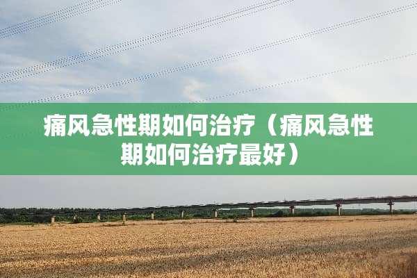 痛风急性期如何治疗（痛风急性期如何治疗最好）