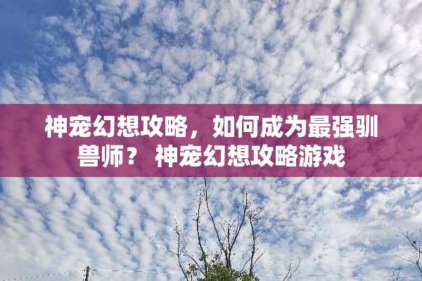 神宠幻想攻略，如何成为最强驯兽师？ 神宠幻想攻略游戏
