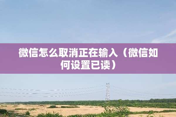 微信怎么取消正在输入(微信如何设置已读) 微信怎么取消正在输入(微信如何设置已读)