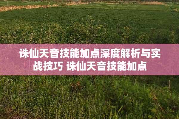 诛仙天音技能加点深度解析与实战技巧 诛仙天音技能加点 诛仙天音技能加点深度解析与实战技巧 诛仙天音技能加点