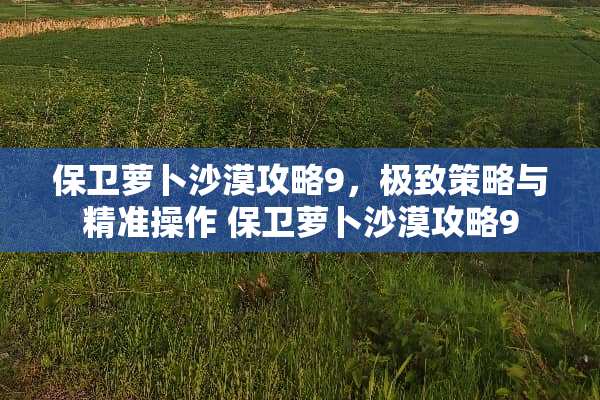 保卫萝卜沙漠攻略9，极致策略与精准操作 保卫萝卜沙漠攻略9