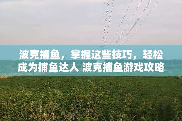 波克捕鱼，掌握这些技巧，轻松成为捕鱼达人 波克捕鱼游戏攻略