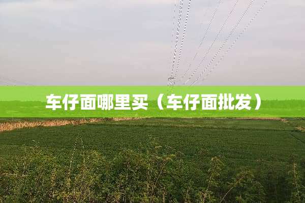 车仔面哪里买（车仔面批发）