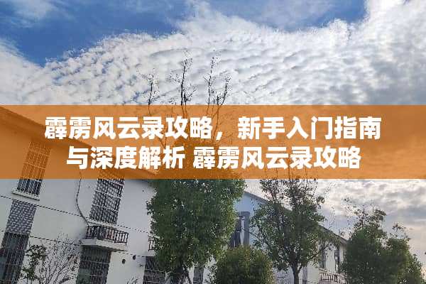 霹雳风云录攻略，新手入门指南与深度解析 霹雳风云录攻略