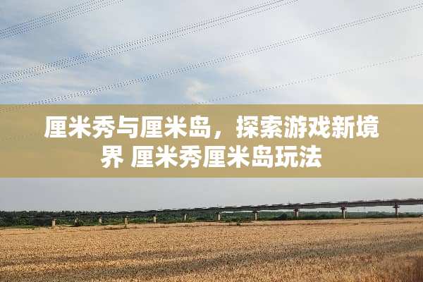 厘米秀与厘米岛，探索游戏新境界 厘米秀厘米岛玩法