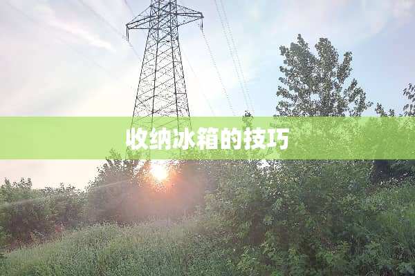 收纳冰箱的技巧