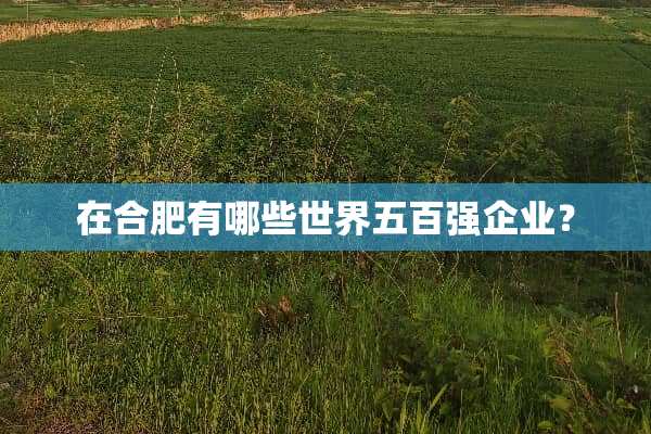 在合肥有哪些世界五百强企业？