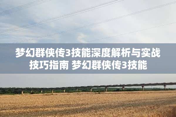 梦幻群侠传3技能深度解析与实战技巧指南 梦幻群侠传3技能