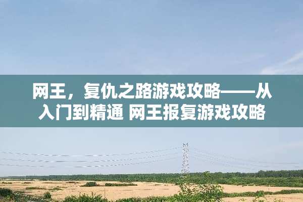 网王，复仇之路游戏攻略——从入门到精通 网王报复游戏攻略