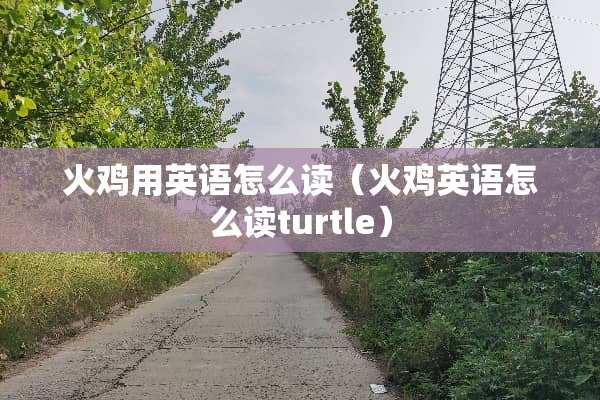 火鸡用英语怎么读（火鸡英语怎么读turtle）
