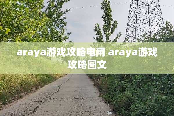 araya游戏攻略电闸 araya游戏攻略图文