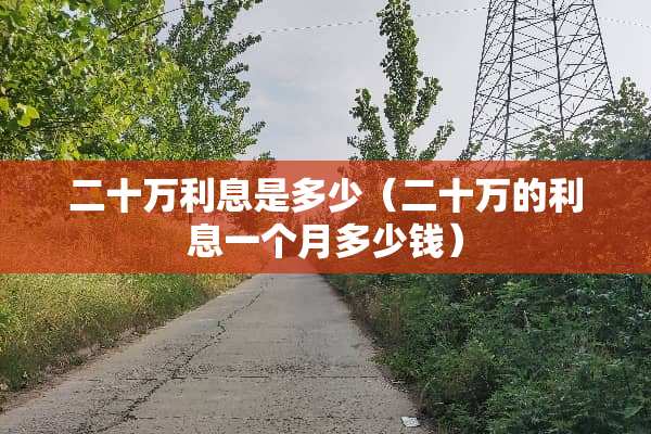 二十万利息是多少(二十万的利息一个月多少钱) 二十万利息是多少(二十万的利息一个月多少钱)