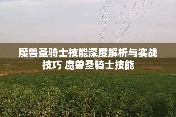 魔兽圣骑士技能深度解析与实战技巧 魔兽圣骑士技能