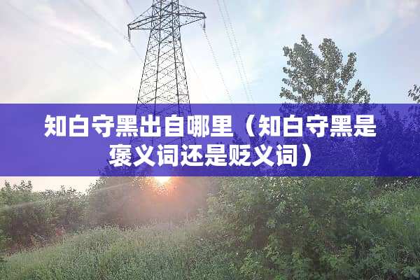 知白守黑出自哪里(知白守黑是褒义词还是贬义词) 知白守黑出自哪里(知白守黑是褒义词还是贬义词)