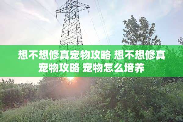 想不想修真宠物攻略 想不想修真宠物攻略 宠物怎么培养