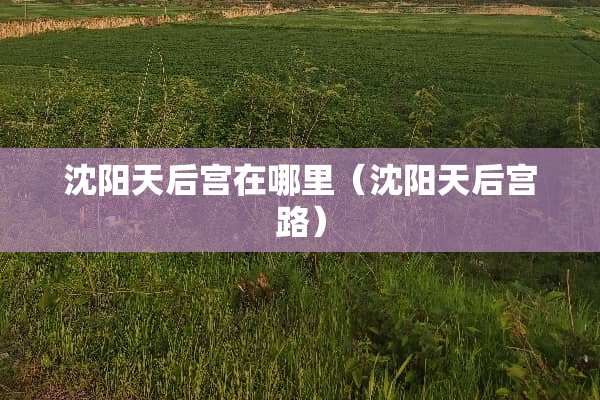 沈阳天后宫在哪里（沈阳天后宫路）