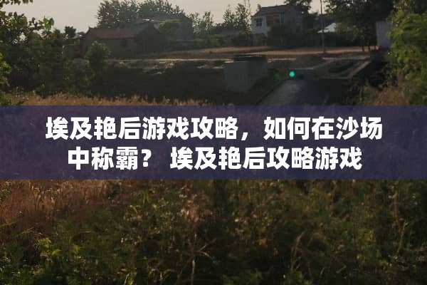 埃及艳后游戏攻略，如何在沙场中称霸？ 埃及艳后攻略游戏