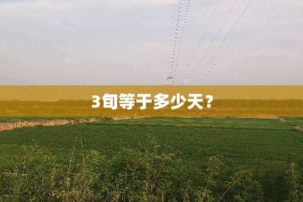 3旬等于多少天？